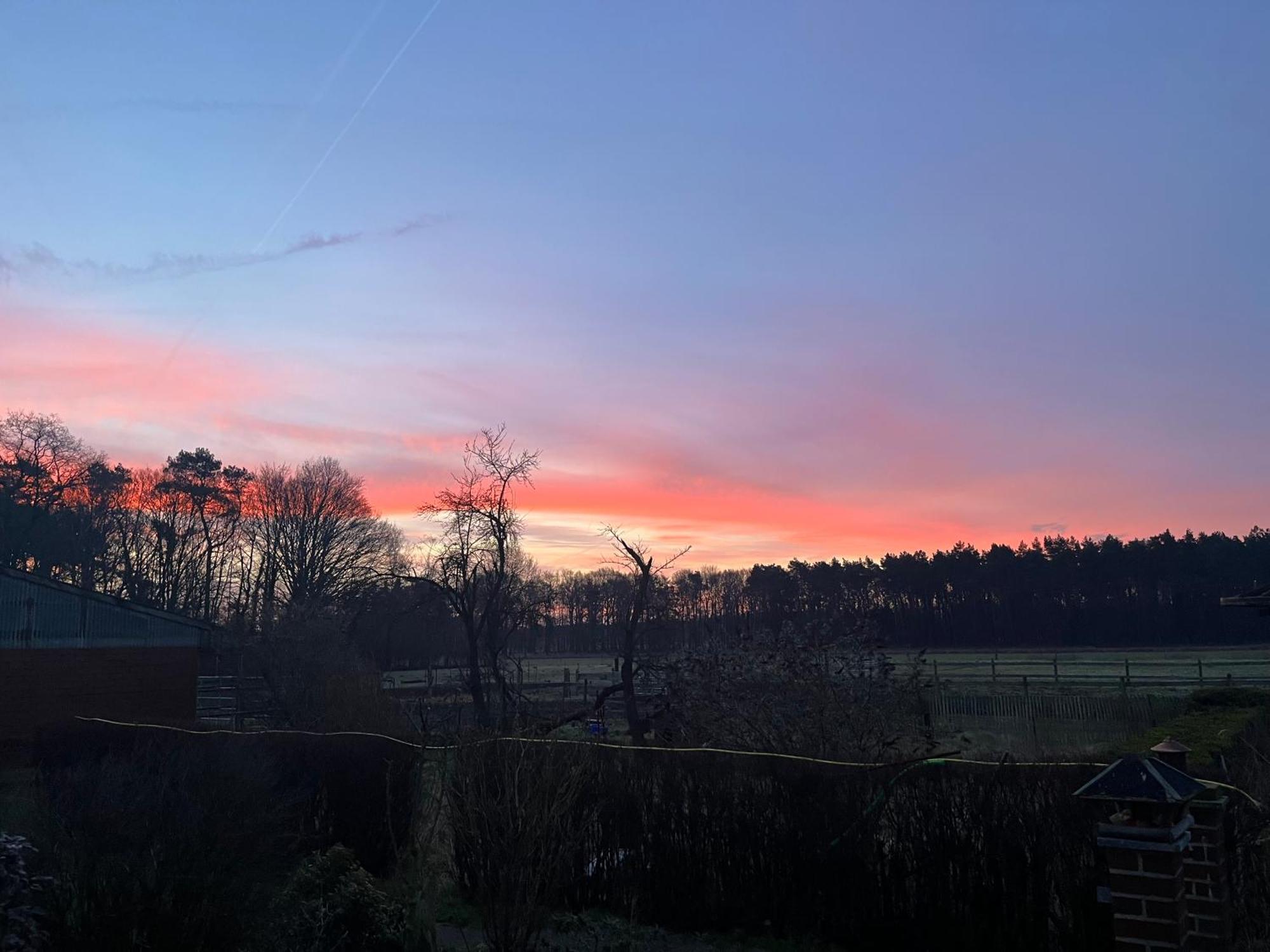 Wunderschoene Ferienwohnung Mit Balkon Auf Dem Bauernhof Greven Zewnętrze zdjęcie