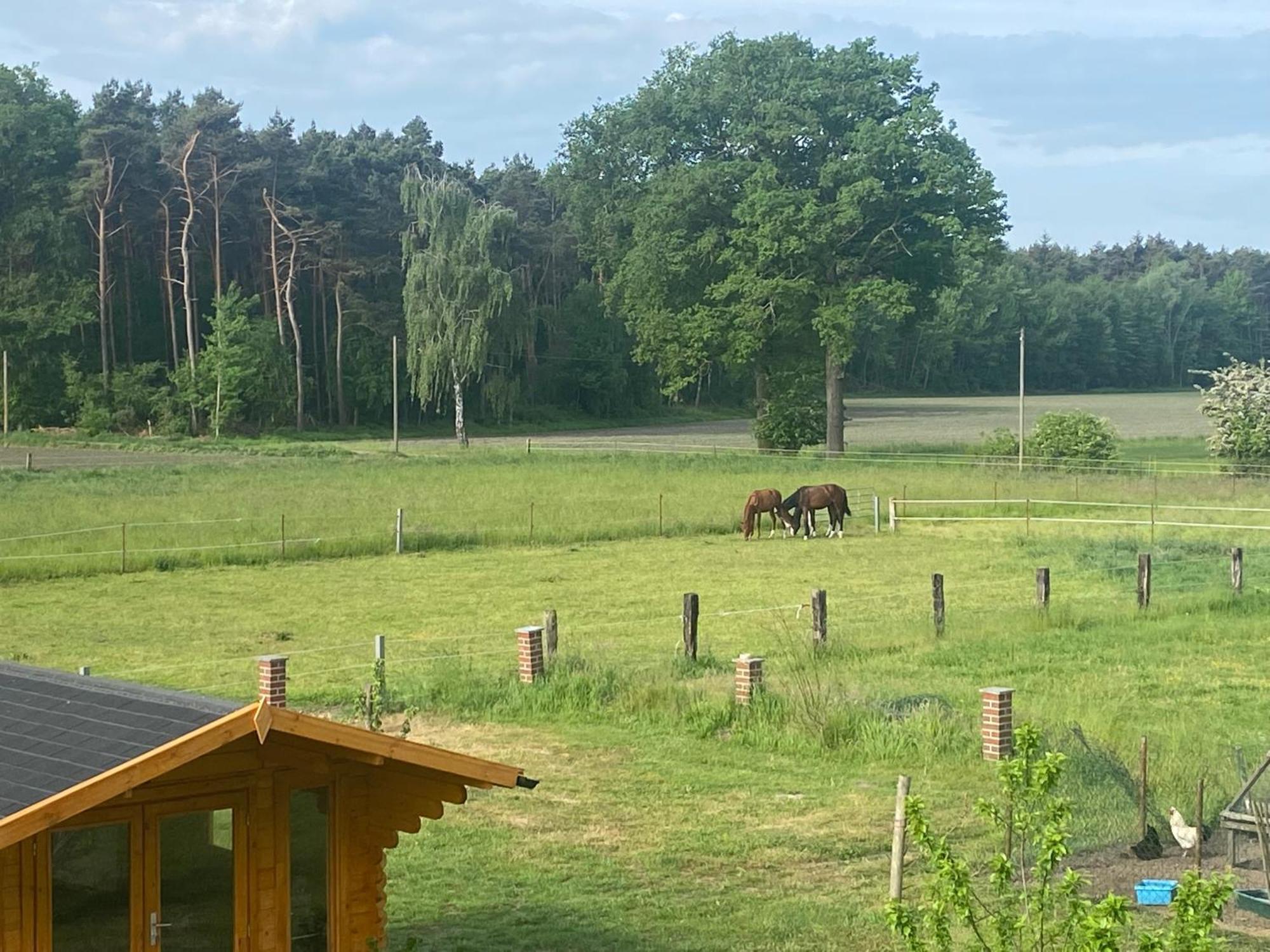 Wunderschoene Ferienwohnung Mit Balkon Auf Dem Bauernhof Greven Zewnętrze zdjęcie