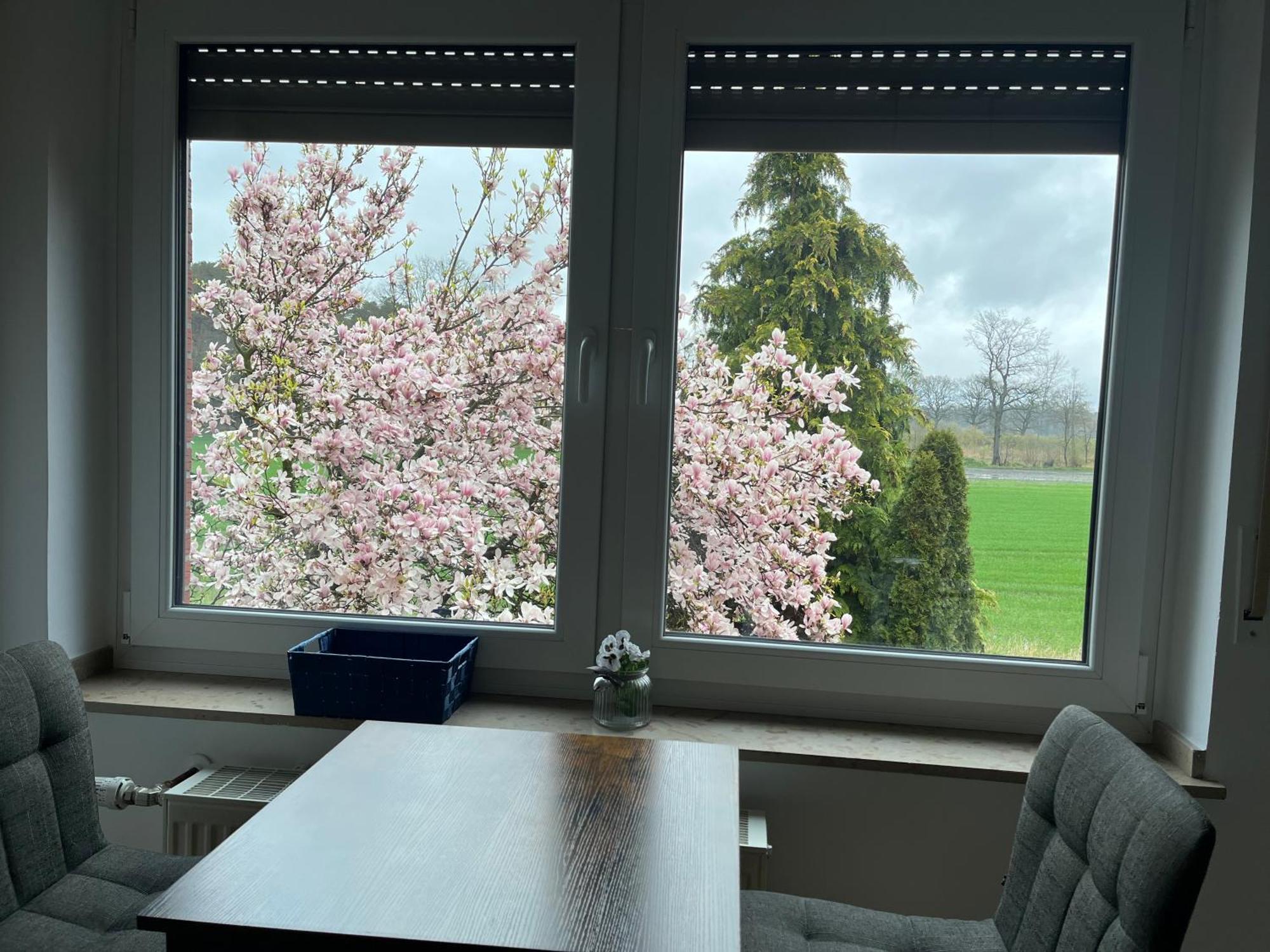 Wunderschoene Ferienwohnung Mit Balkon Auf Dem Bauernhof Greven Zewnętrze zdjęcie